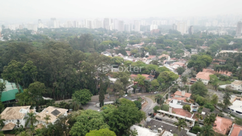 Image 8 - 919708