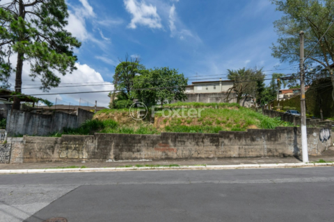 Image 5 - 919990