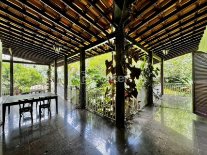 Image 22 - 920283