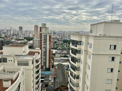 Image 26 - 921251