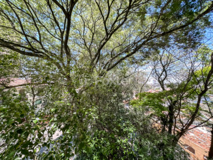 Image 33 - 921899