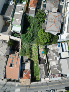 Image 11 - 923351