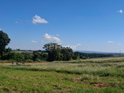 Image 8 - 923373