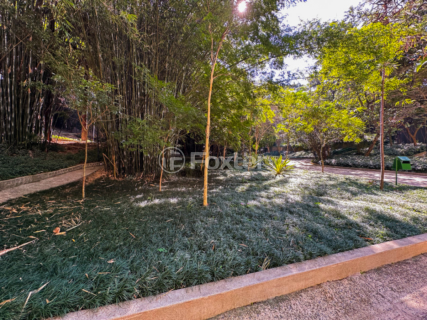 Image 71 - 923617