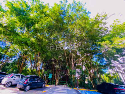 Image 81 - 923617