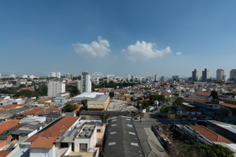 Image 15 - 923928