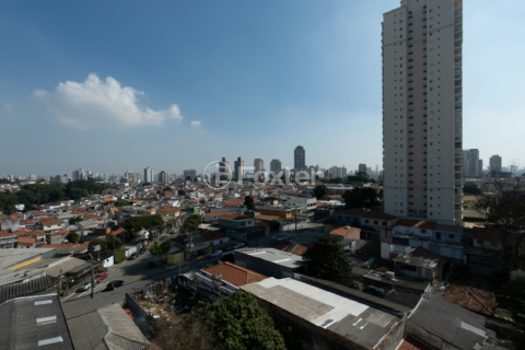 Image 16 - 923928