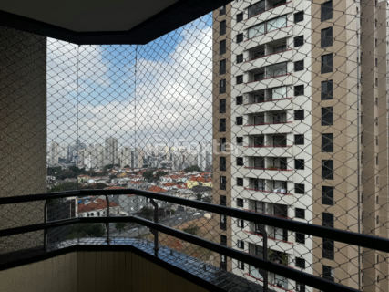 Image 8 - 924375