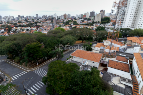 Image 11 - 924779