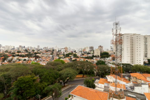 Image 6 - 924779