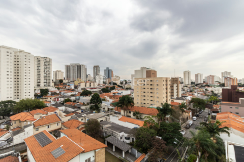 Image 8 - 924779
