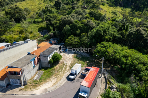 Image 9 - 924888
