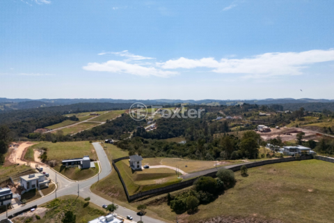 Image 6 - 924939