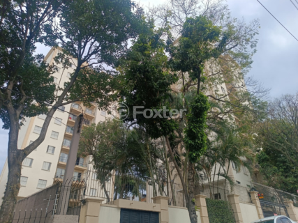Image 19 - 925181