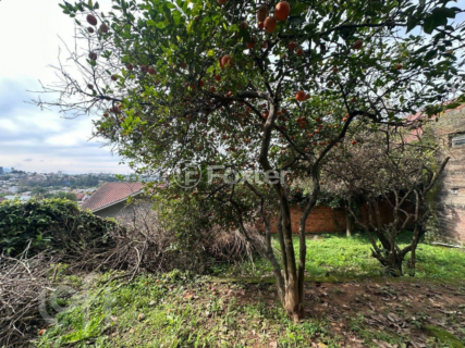 Image 24 - 925718