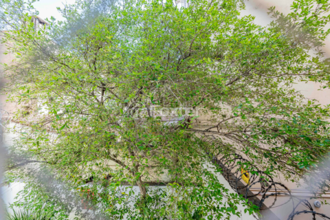 Image 10 - 926019