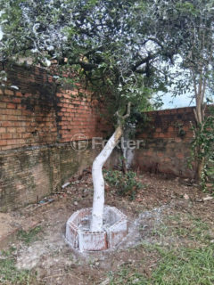 Image 30 - 926025