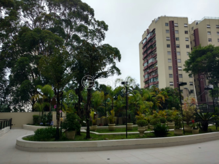 Image 19 - 926463