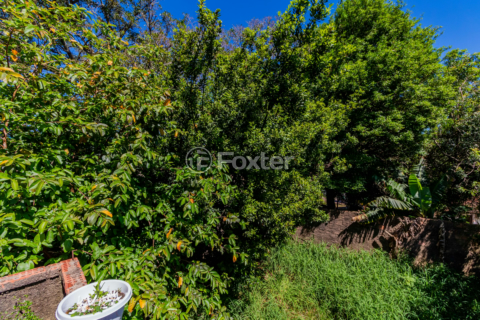 Image 9 - 927113