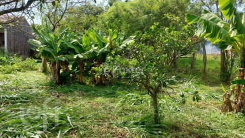 Image 3 - 927520