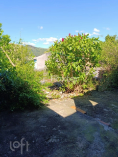 Image 12 - 928375