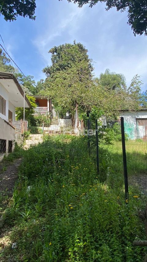 Image 4 - 928670