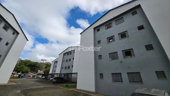 Image 7 - 929933