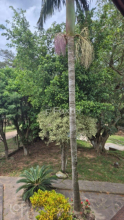 Image 19 - 930456