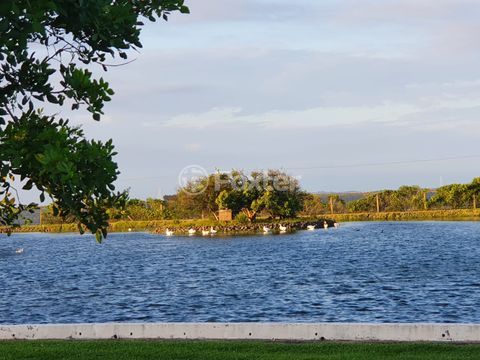 Image 9 - 930473