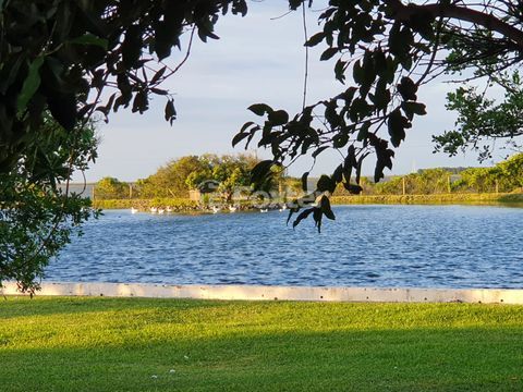 Image 8 - 930473