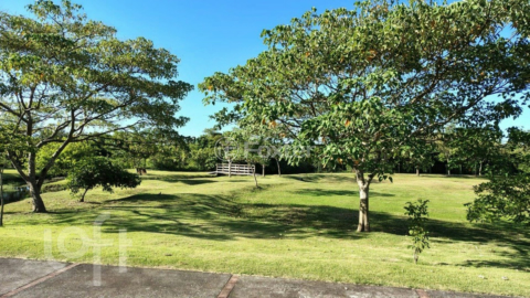 Image 35 - 931799