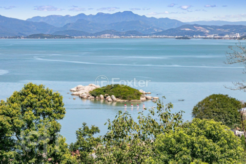 Image 8 - 932408