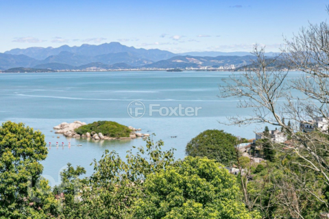 Image 7 - 932408