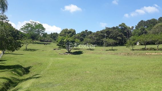 Image 4 - 933674