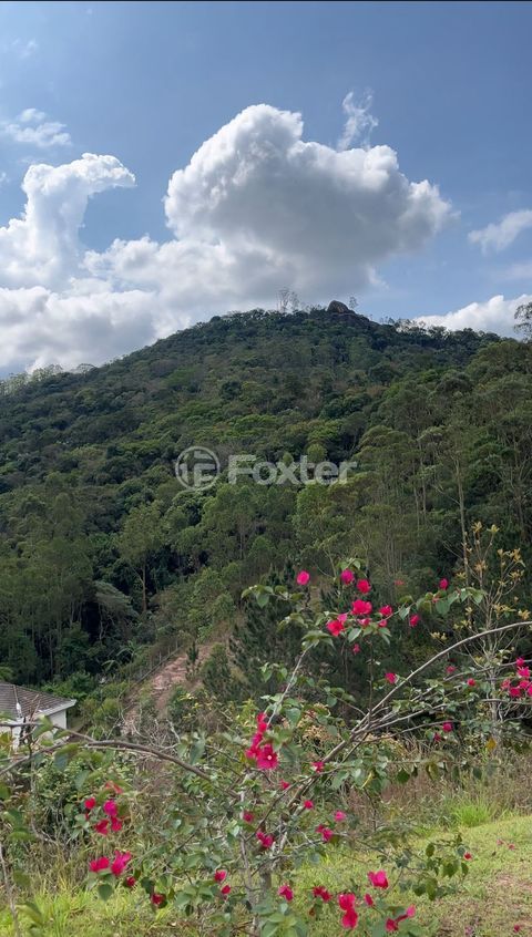 Image 8 - 934761