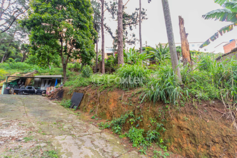 Image 3 - 935964
