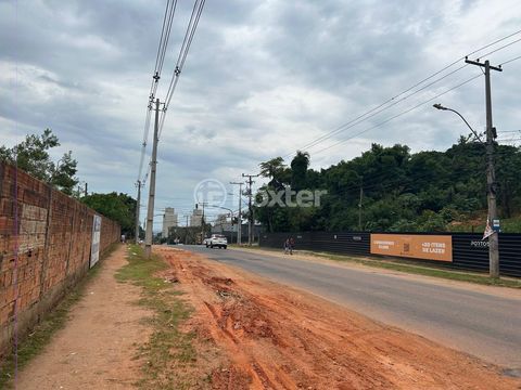 Image 8 - 936310