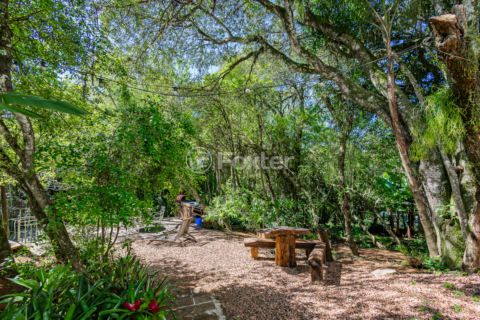 Image 40 - 937453