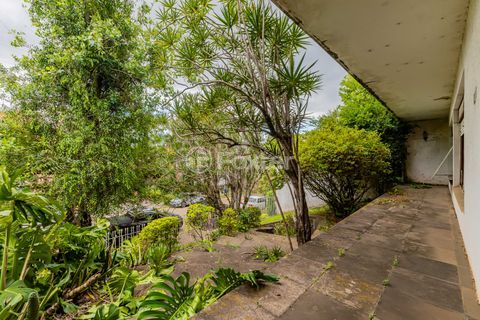 Image 14 - 937582