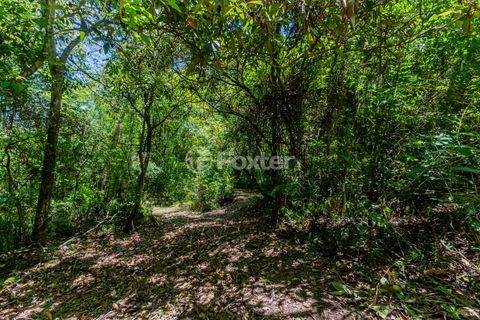Image 99 - 942374