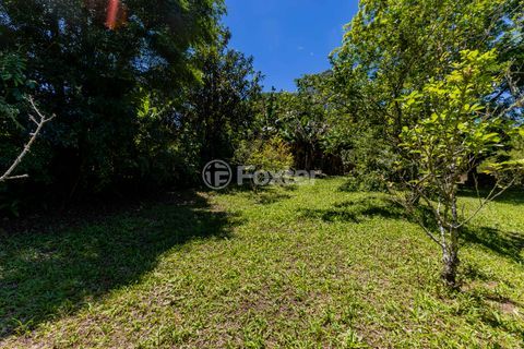Image 61 - 942374