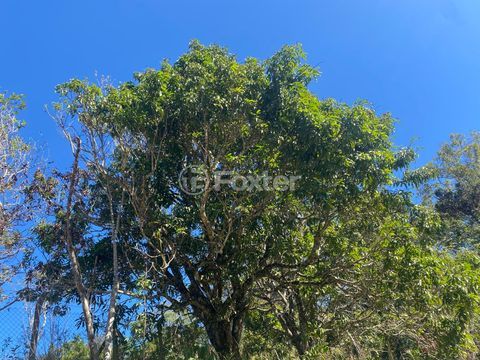 Image 6 - 948439