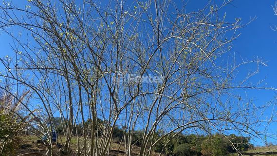 Image 10 - 948439