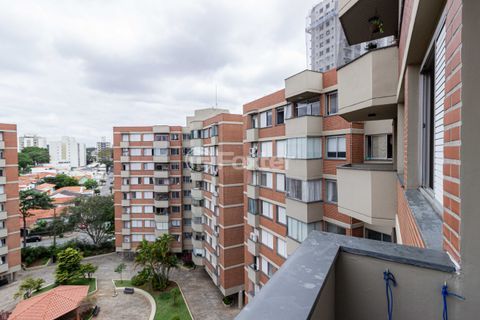 Image 29 - 950008
