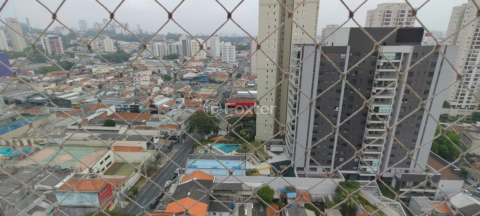 Image 11 - 950605