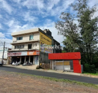Image 3 - 950919