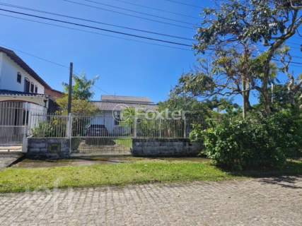 Image 34 - 954229