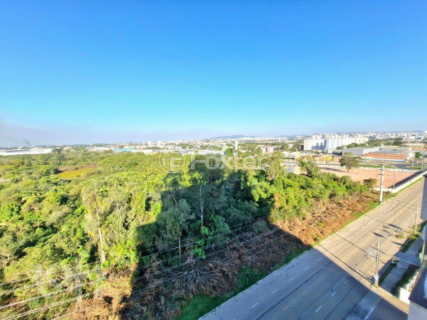 Image 31 - 954243
