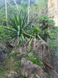 Image 9 - 954453