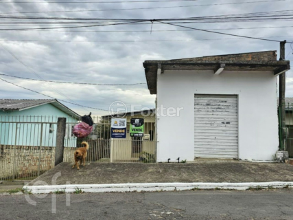 Image 6 - 954466